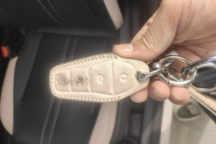 Used BYD Seagull 2023 Free Edition