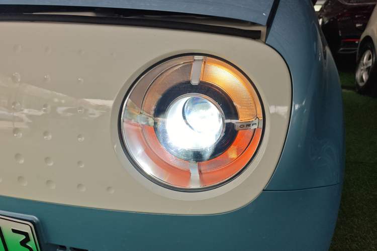 Used ORA Black Cat 2019 351 km Family Edition