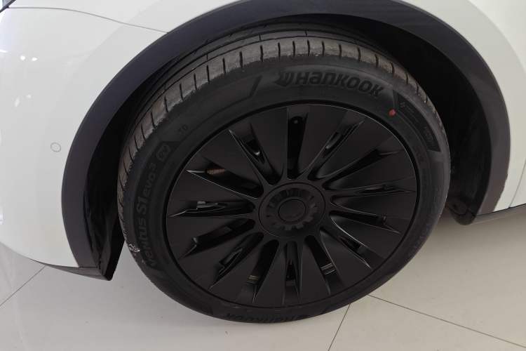 Used Tesla Model Y 2021 Standard Range Rear-Wheel Drive Version
