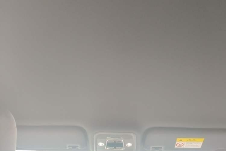 Used BYD Seagull 2024 Honor Edition 305km Dynamic Version Headliner