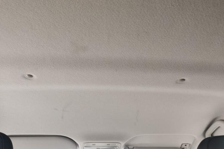 Used SOL E10X 2022 Flower Fairy Design Four-Leaf Clover Headliner