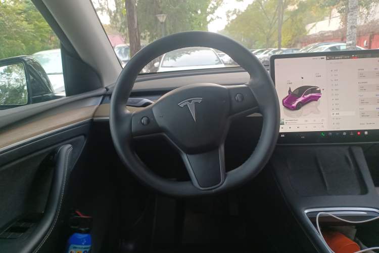 Used Tesla Model Y 2022 Revised Version Long-Range All-Wheel Drive