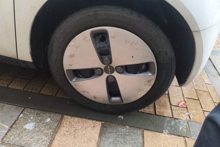 Used ORA Black Cat 2021 301km Cute Pet Edition