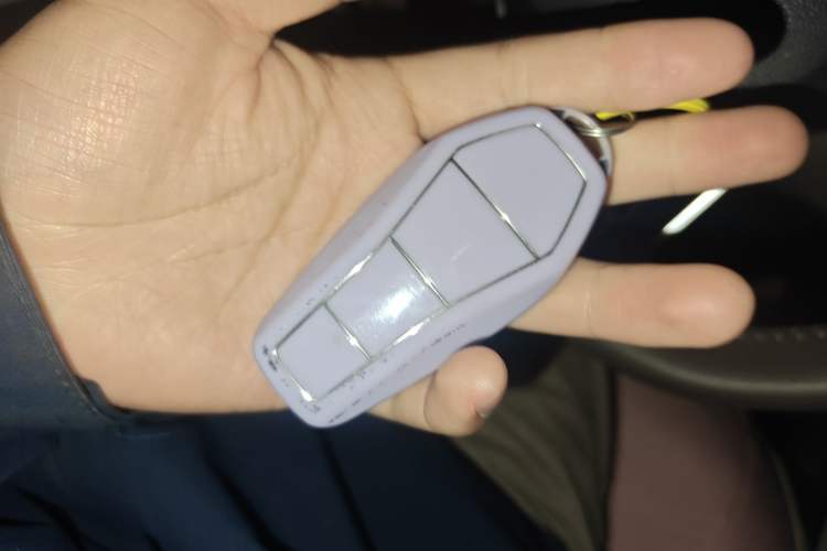 Used BYD Qin PLUS 2023 Champion Edition DM-i 55KM Leading Model
