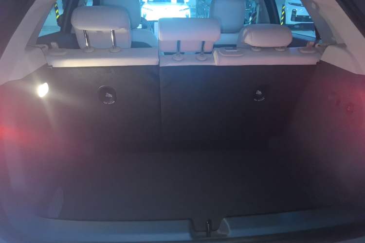 Used firefly 2025 Illuminated Edition