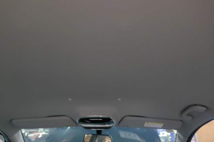 Used Denza 2018 450 Base Version
