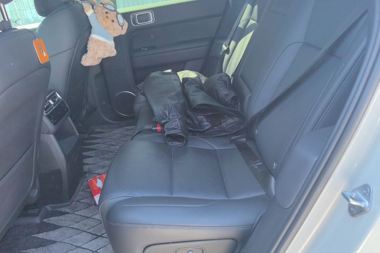 Used Li Auto L6 2024 Pro Model Left Rear Seat