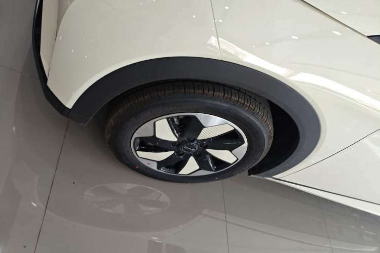 Used BYD Dolphin 2025 420km Free Edition