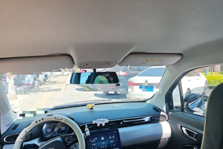 Used Leapmotor T03 2022 Hometown Jade Edition Headliner