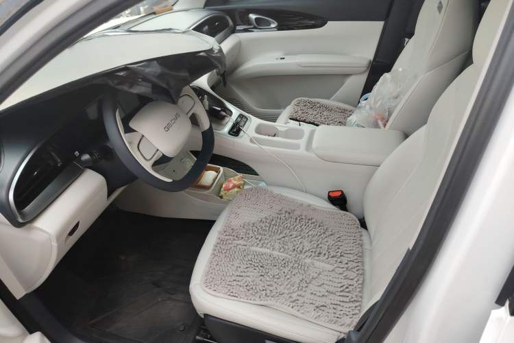 Used Geely Galaxy Geome 2025 410 km Free Version Left Front Seat