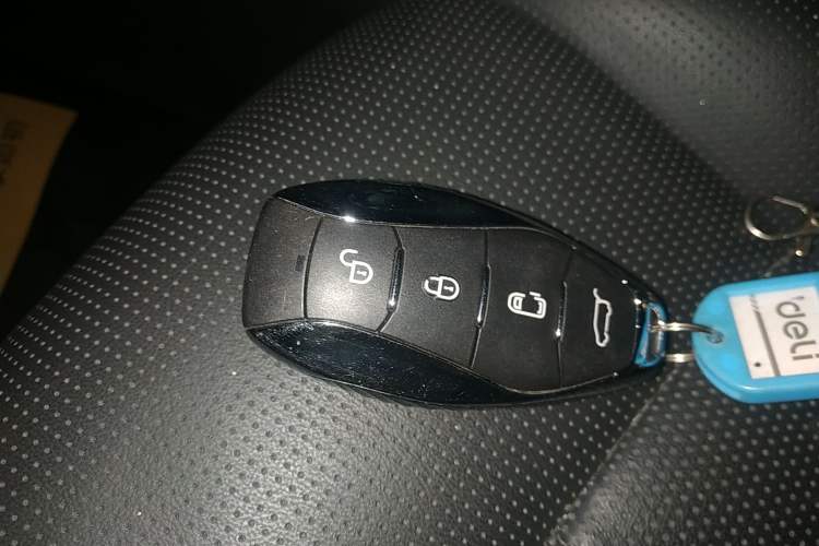 Used Hongqi HQ9 2023 2.0T Smart Connect Flagship Edition