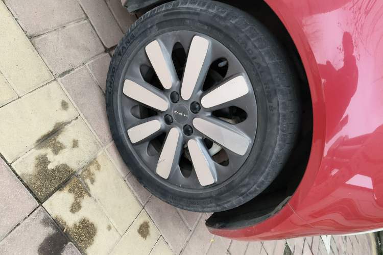 Used ORA Black Cat 2019 351 km Lingrui Version
