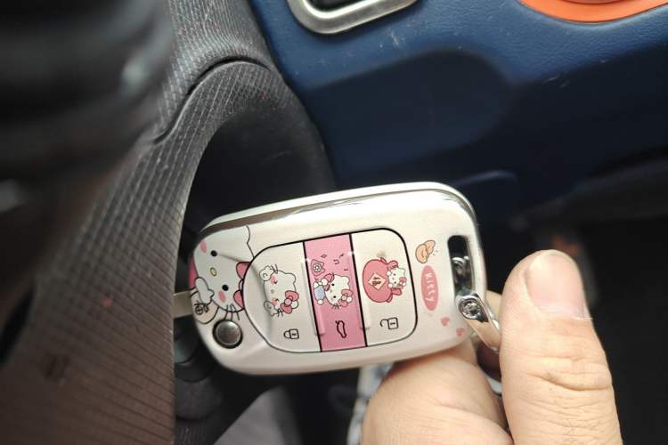 Used Wuling Hongguang MINIEV 2020 Enjoy Edition Lithium-Ion Battery Vehicle Key