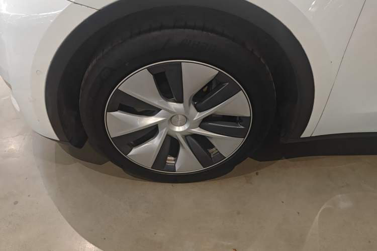 Used Tesla Model Y 2021 Standard Range Rear-Wheel Drive Version
