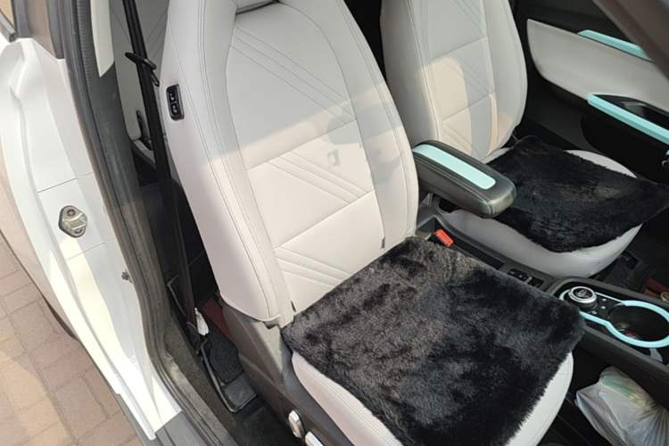 Used Chery QQ Little Ant 2021 150 000 Yuan "Ant Fan" Edition New Ant Cool Version Lithium-Ion Battery Right Front Seat