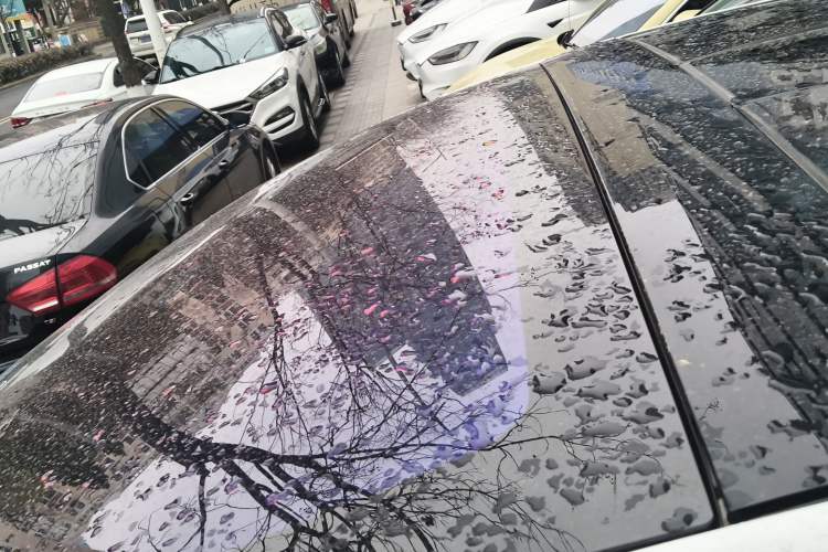 Used Tesla Model X 2019 Long-Range Version