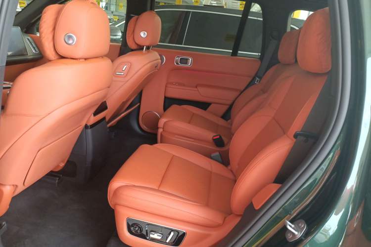 Used Li Auto L9 2024 Ultra Model Left Rear Seat