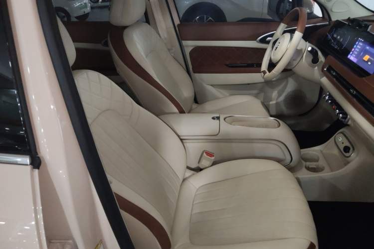 Used ORA Good Cat 2023 401 km Standard Range Luxury Version Lithium Iron Phosphate Right Front Seat