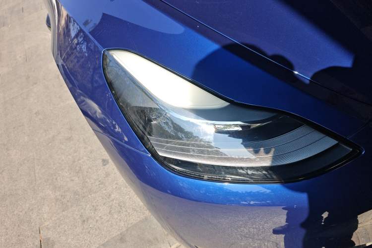 Used Tesla Model Y 2021 Standard Range Rear-Wheel Drive Version
