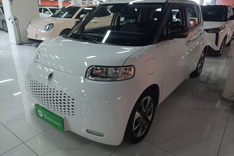 Used ORA White Cat 2020 401 km Flagship Version