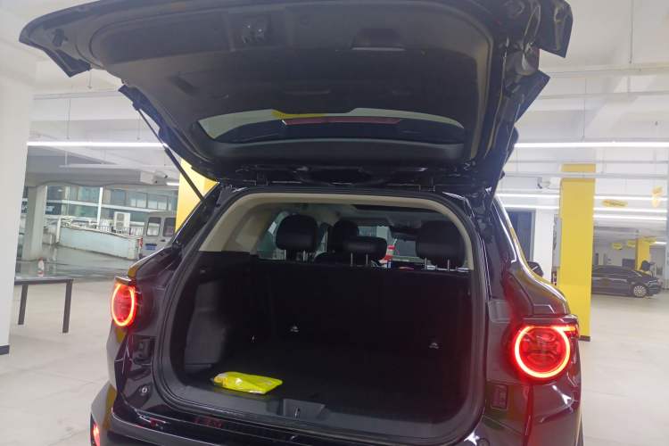 Used Haval H Dog 2023 2.0T Two-Wheel Drive Trendy Outdoor Edition