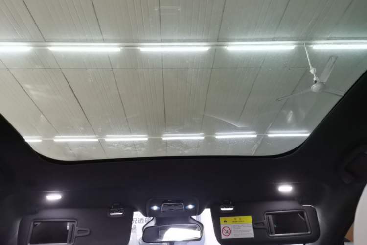 Used BYD Dolphin 2021 401km Knight Edition Headliner