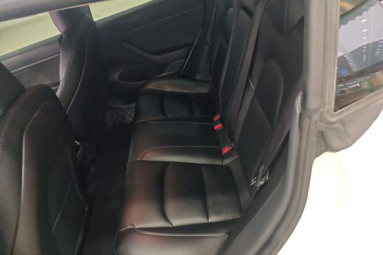 Used Tesla Model 3 2019 Standard Range Rear-Drive Upgraded Version Left Rear Seat