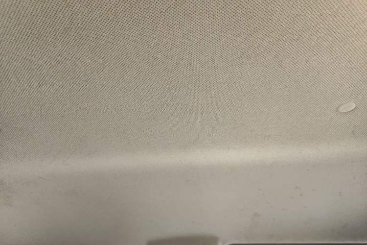 Used JAC Refine M3 2016 IKEA Edition 1.6L Luxury Smart Model Headliner