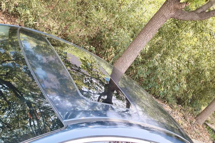 Used Honda Civic 2019 220TURBO CVT Power Edition China VI Emission Standard Roof