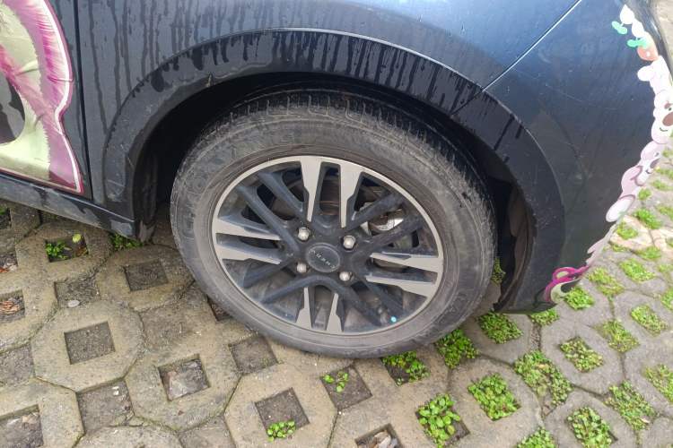 Used Chery Little Ant 2024 Revised Version Youth Edition 251 km True Love Edition 25.05 kWh