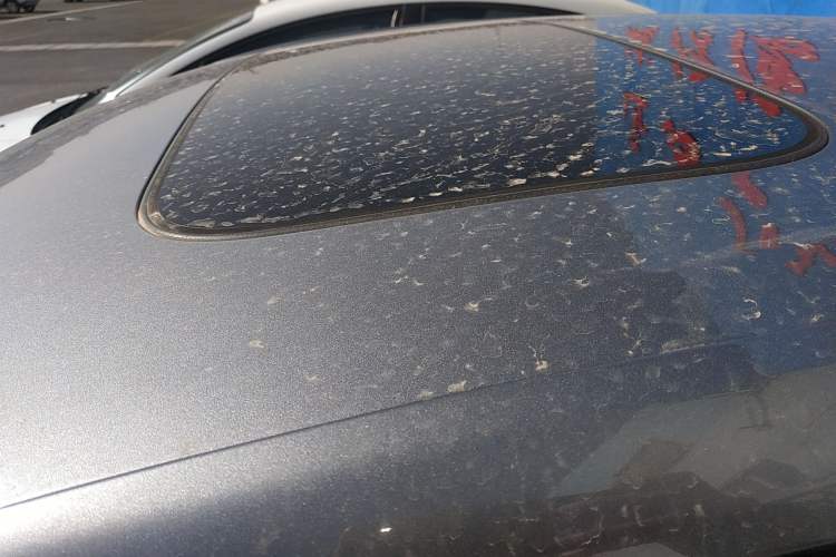 Used Chevrolet Cavalier 2020 Redline 325T Automatic Xinshang Edition
