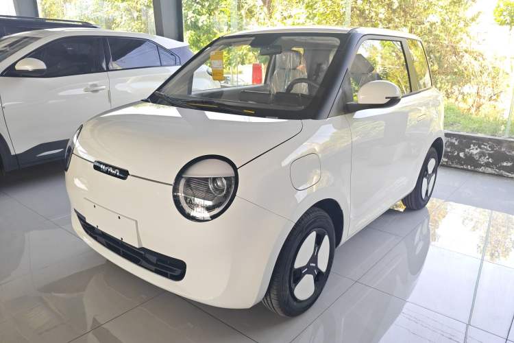 Used Qiyuan Lumin 2025 205 km Xiangqin Version