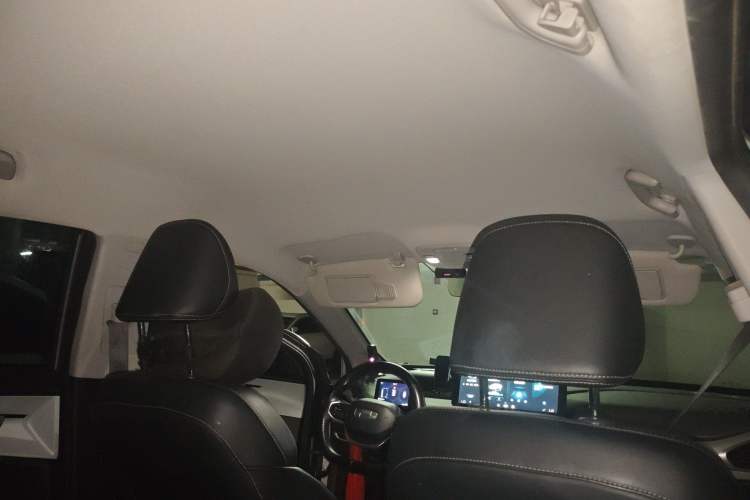 Used Geometry A 2022 Pro 430KM Business Edition Headliner