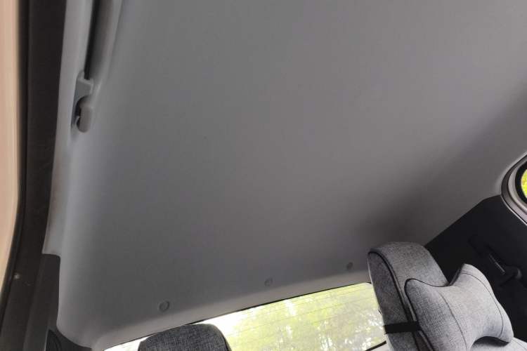 Used Baojun E200 2019 250KM Smart Drive Edition Headliner