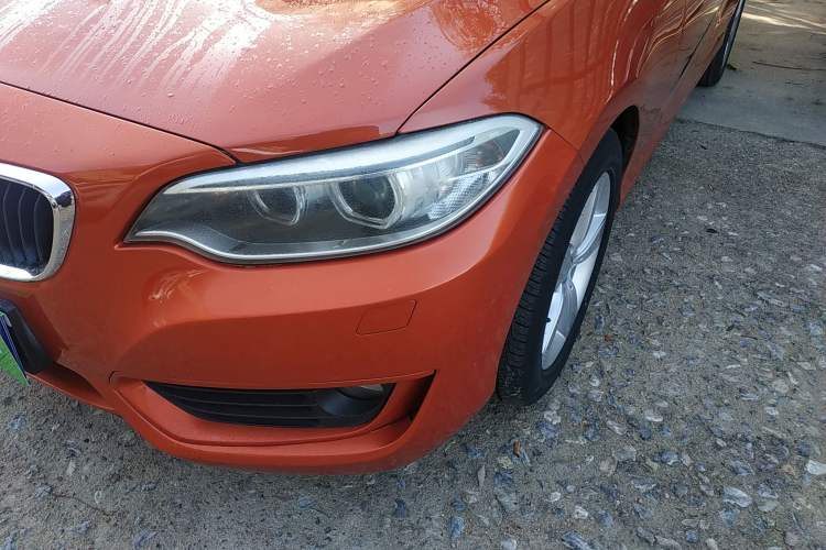 Used BMW 2 Series 2014 220i Leading Model