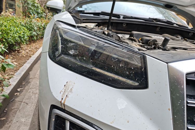 Used Audi Q2L 2022 35 TFSI Fashion Dynamic Model