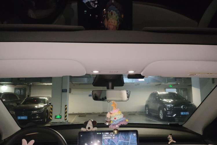 Used Tesla Model Y 2021 Standard Range Rear-Wheel Drive Version Headliner