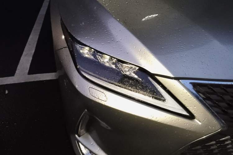 Used Lexus RX 2020 300 4x4 Elegant Edition China VI