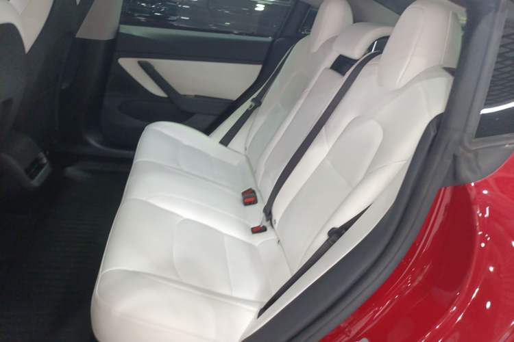 Used Tesla Model 3 2020 Standard Range Rear-Wheel Drive Upgraded Version Left Rear Seat