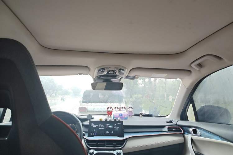 Used Lynk & Co 06 2020 1.5T YAO Halo Headliner