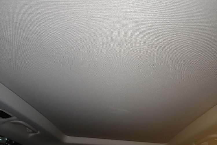 Used Lynk & Co 01 EM-P 2018 1.5T PHEV JingPro National Emission Standard V Headliner