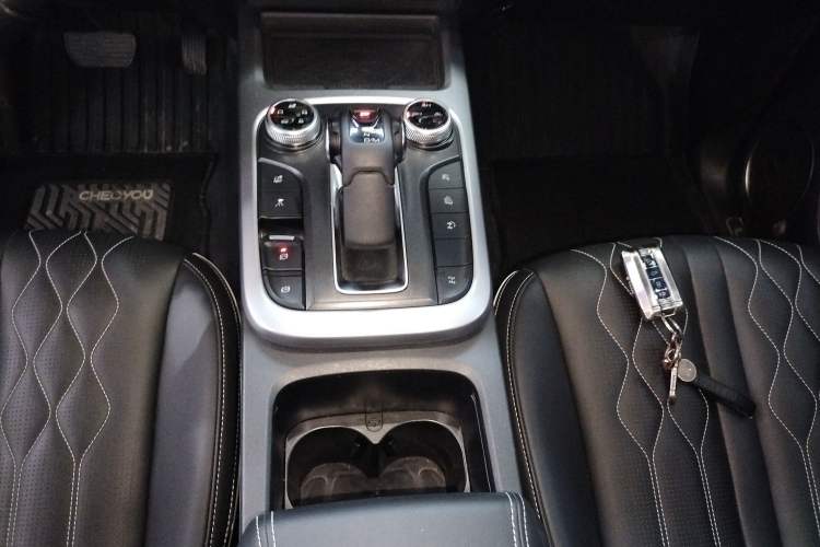 Used Tank 300 2024 2.0T Challenger
