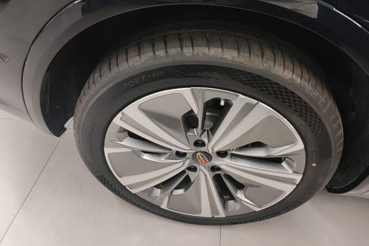 Used Hongqi E-HS9 2022 660 km Range Flagway Edition Six Seats

