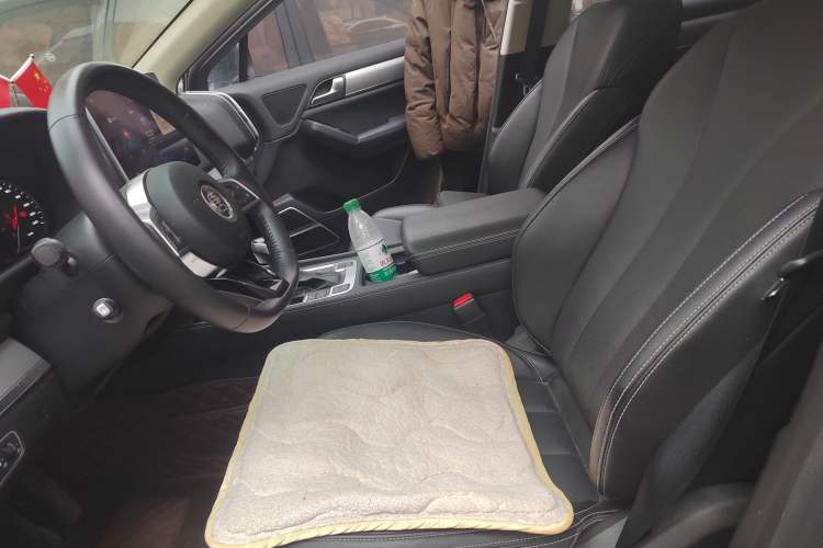 Used BYD Tang 2018 2.0T Automatic Smart Connect Prestige 7-Seater China V Standard