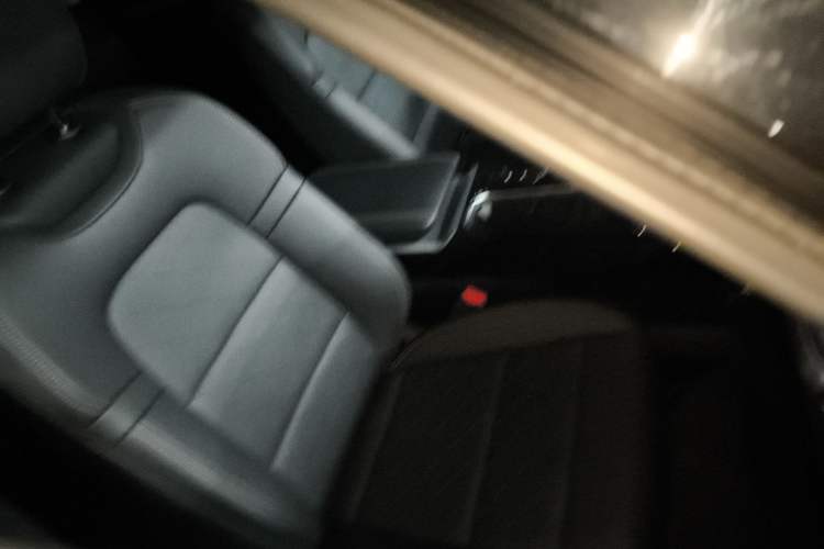 Used Haval DARGO 2022 1.5T DCT Two-Wheel Drive Border Collie Edition Right Front Seat