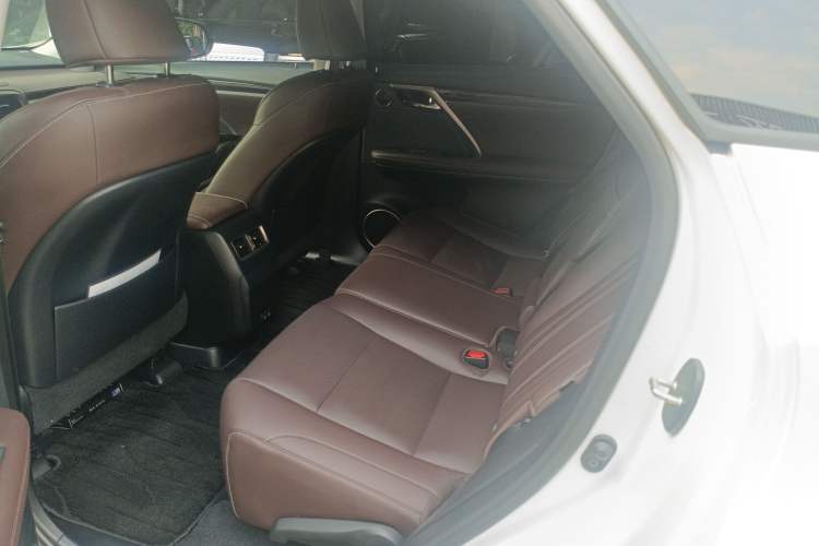 Used Lexus RX 2021 300 Four-Wheel Drive Special Edition Left Rear Seat