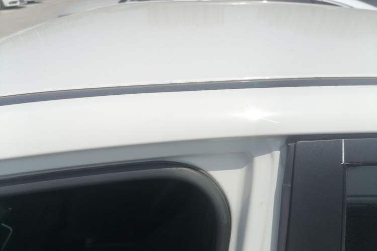 Used NETA V 2021 Long-Range Entertainment Edition Upgrade Model