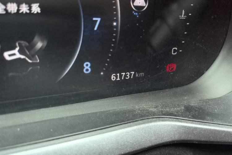 Used FORTHING T5L 2020 1.8T Manual Luxury 7-Seater China VI Standard
