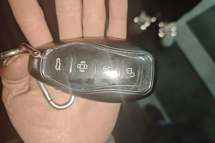 Used Hongqi HS5 2023 2.0T Qixiang Pro Edition
