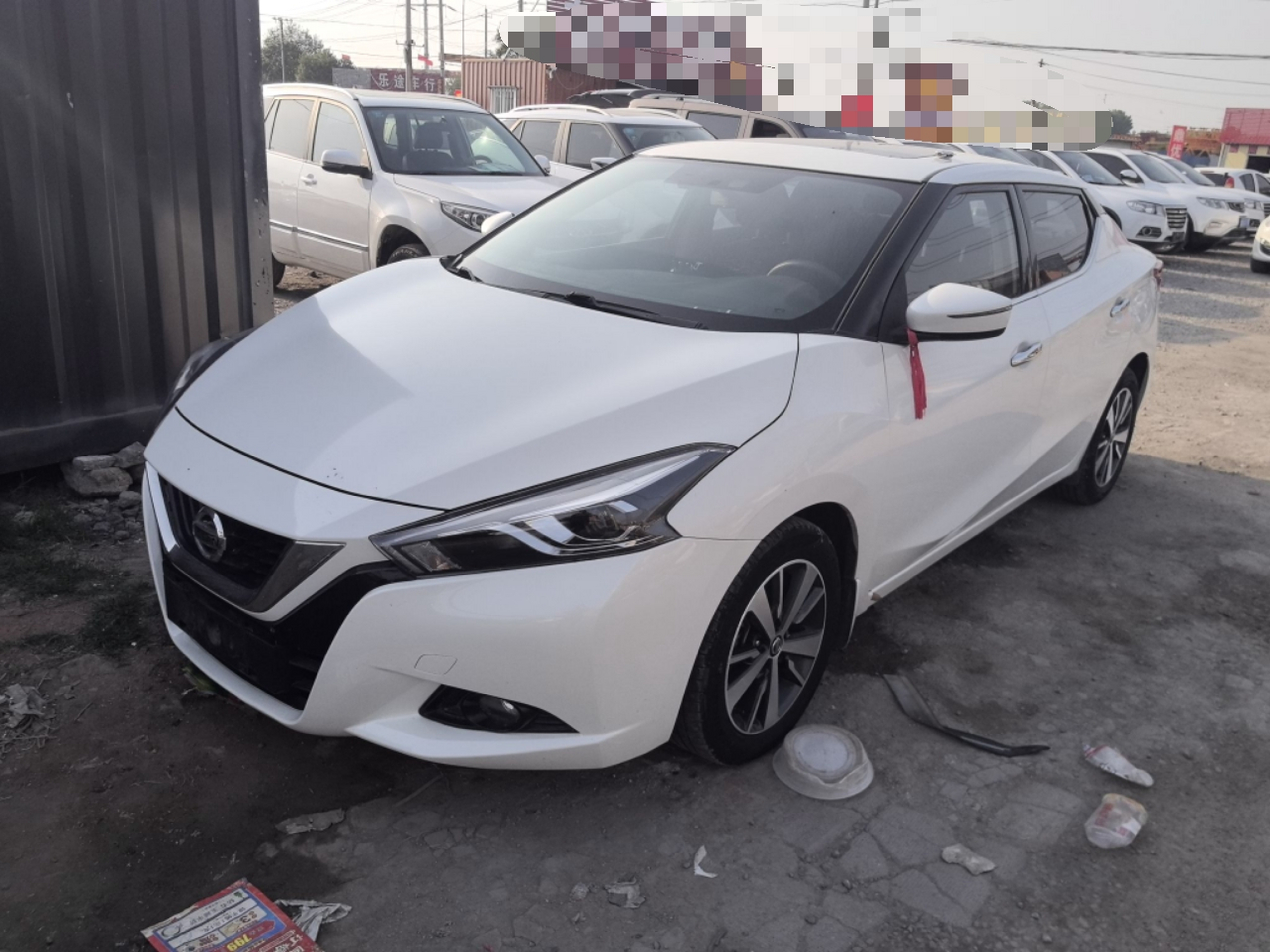 Parte inferior delantera